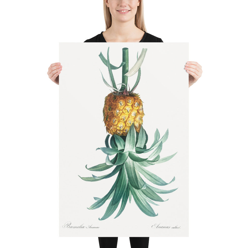 Reverse Pineapple Poster – Vintage Discreet Symbol Wall Art