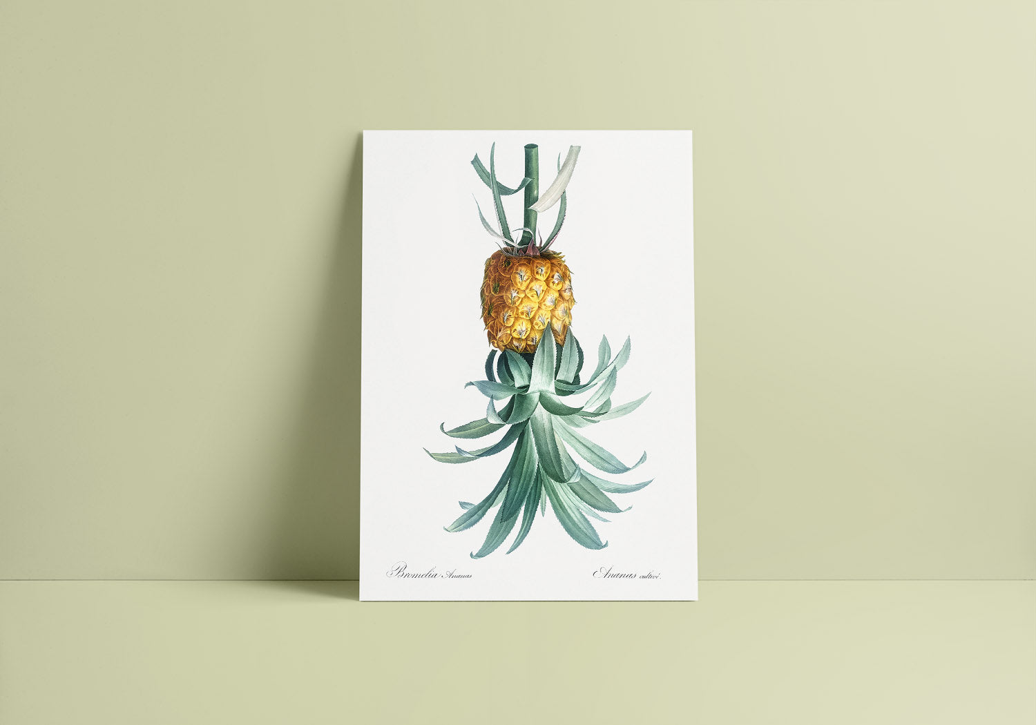 A minimalist decor with a Vintage-style reverse pineapple ENM poster