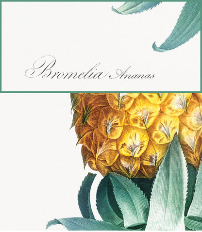 Reverse Pineapple Poster – Vintage Discreet Symbol Wall Art