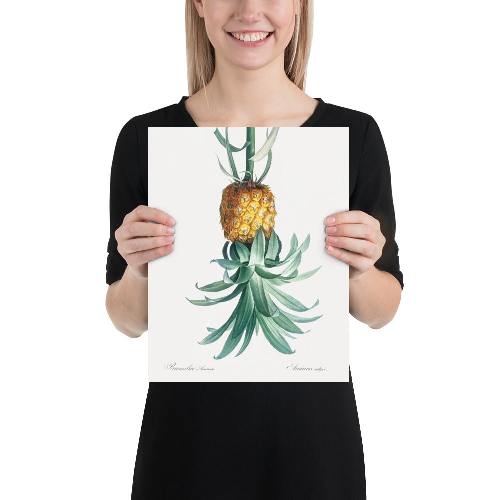 Reverse Pineapple Poster – Vintage Discreet Symbol Wall Art