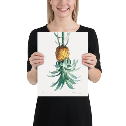 Reverse Pineapple Poster – Vintage Discreet Symbol Wall Art