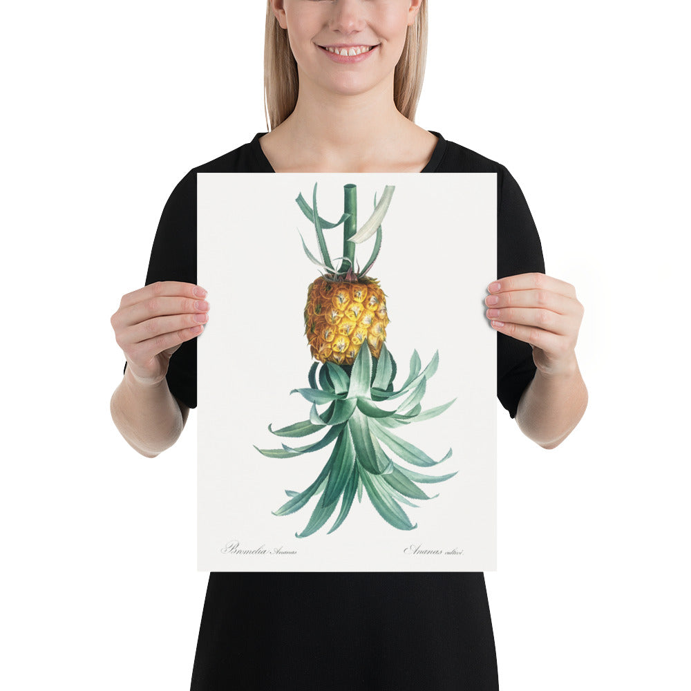 Reverse Pineapple Poster – Vintage Discreet Symbol Wall Art