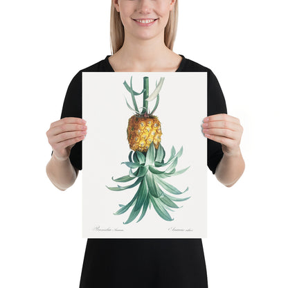 Reverse Pineapple Poster – Vintage Discreet Symbol Wall Art