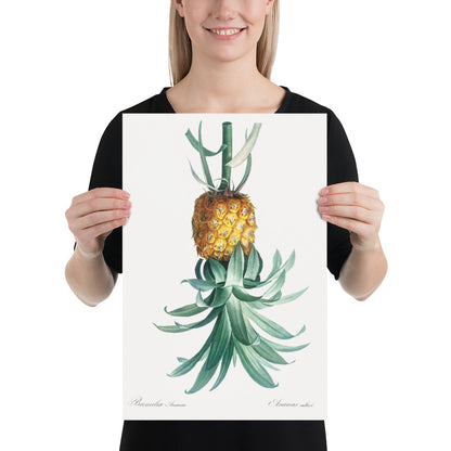 Reverse Pineapple Poster – Vintage Discreet Symbol Wall Art