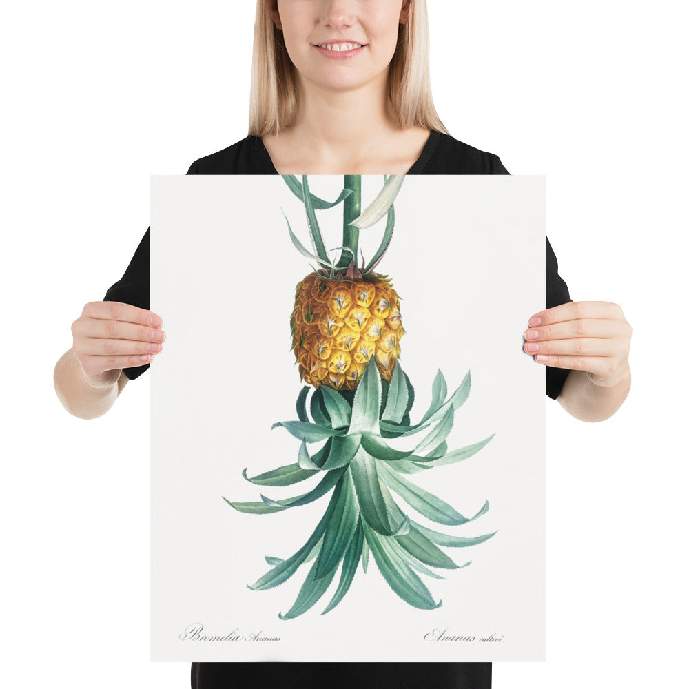 Reverse Pineapple Poster – Vintage Discreet Symbol Wall Art