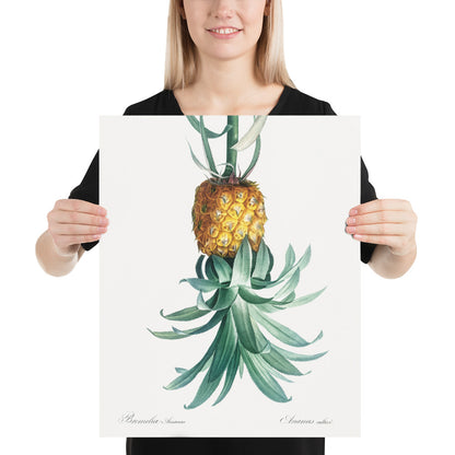 Reverse Pineapple Poster – Vintage Discreet Symbol Wall Art