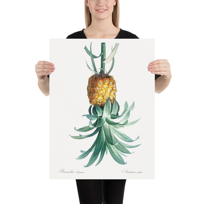 Reverse Pineapple Poster – Vintage Discreet Symbol Wall Art