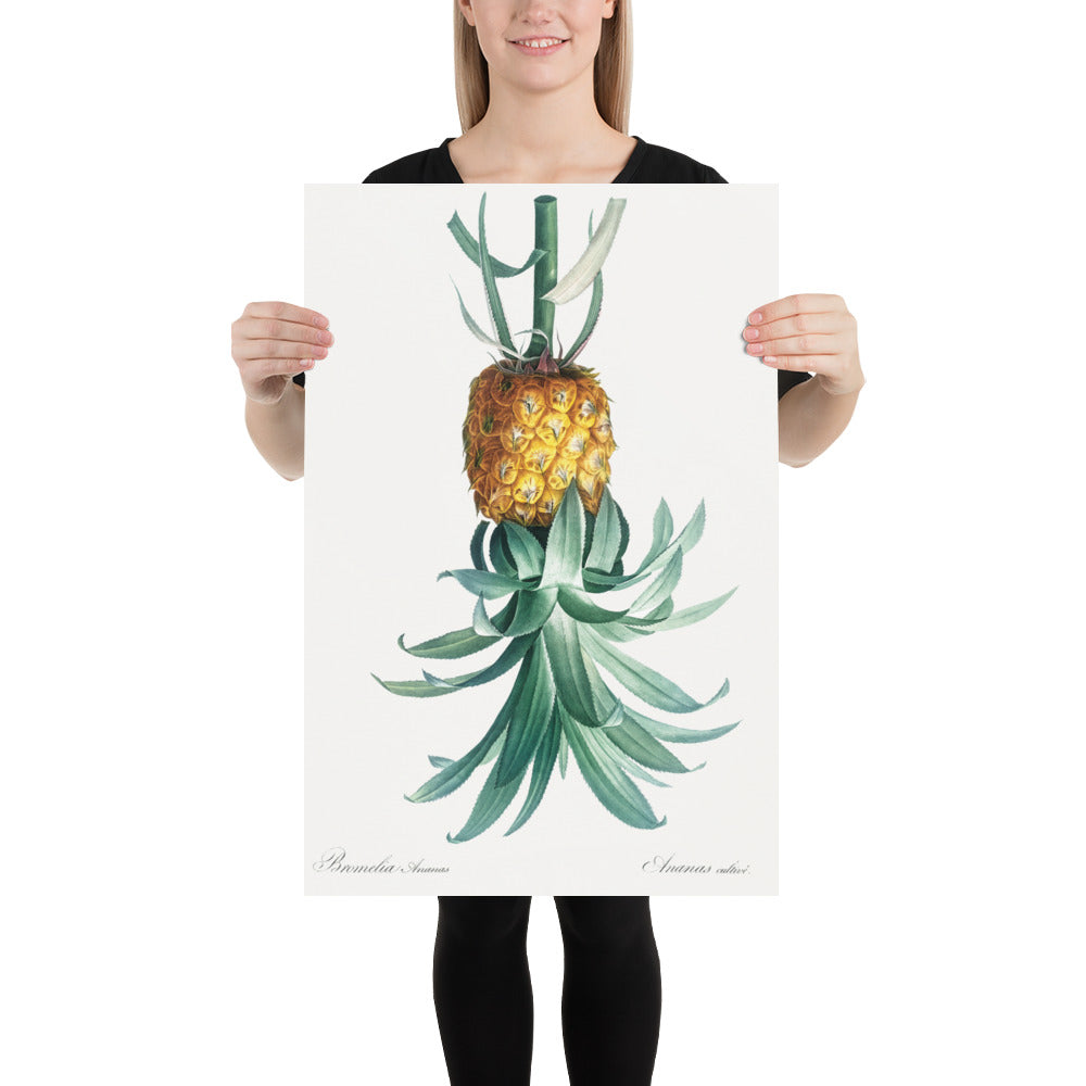 Reverse Pineapple Poster – Vintage Discreet Symbol Wall Art