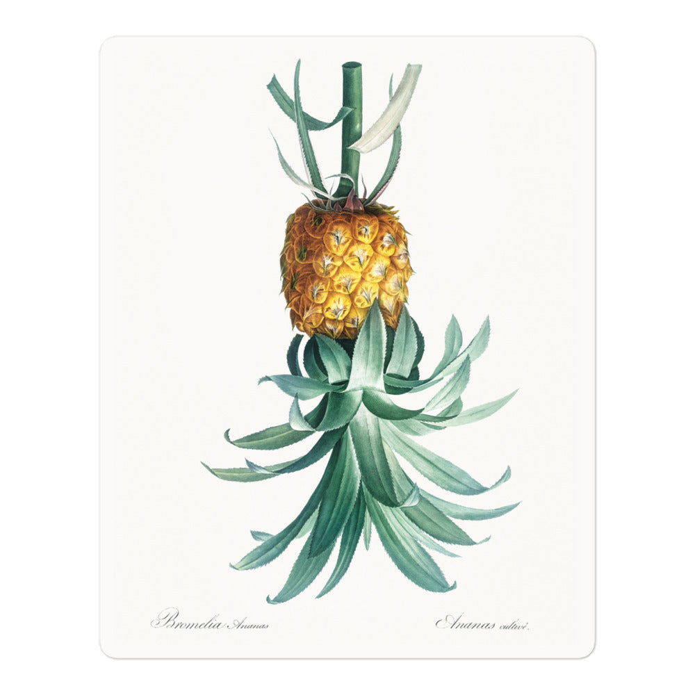 Reverse Pineapple Vinyl Sticker – Vintage Discreet Symbol Design