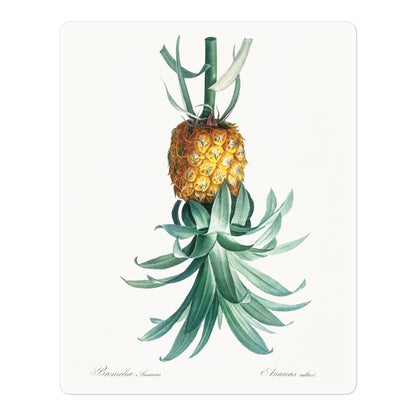 Reverse Pineapple Vinyl Sticker – Vintage Discreet Symbol Design
