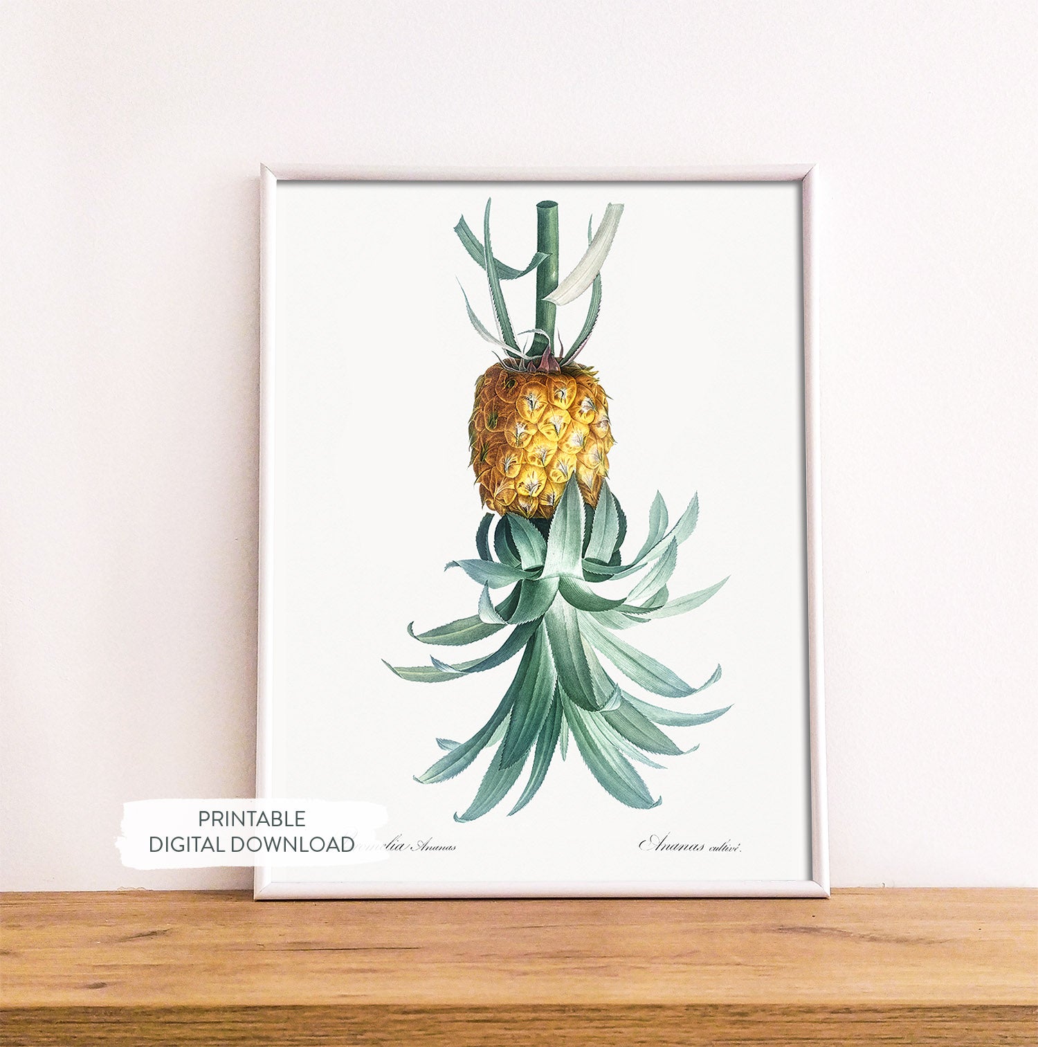 Vintage-style reverse pineapple poster symbolizing open relationships shown in white frame on wood shelf