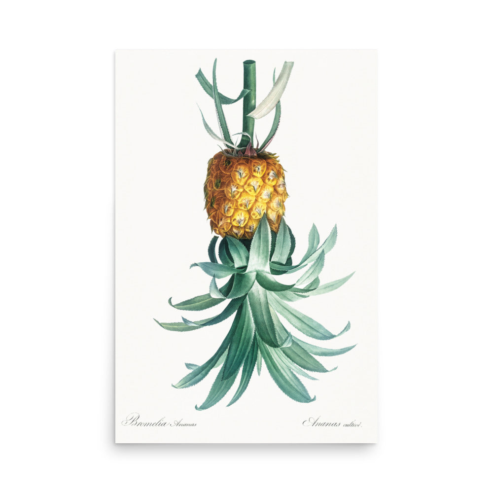Vintage reverse pineapple symbol poster printed on thick matte paper for discreet lifestyle expression