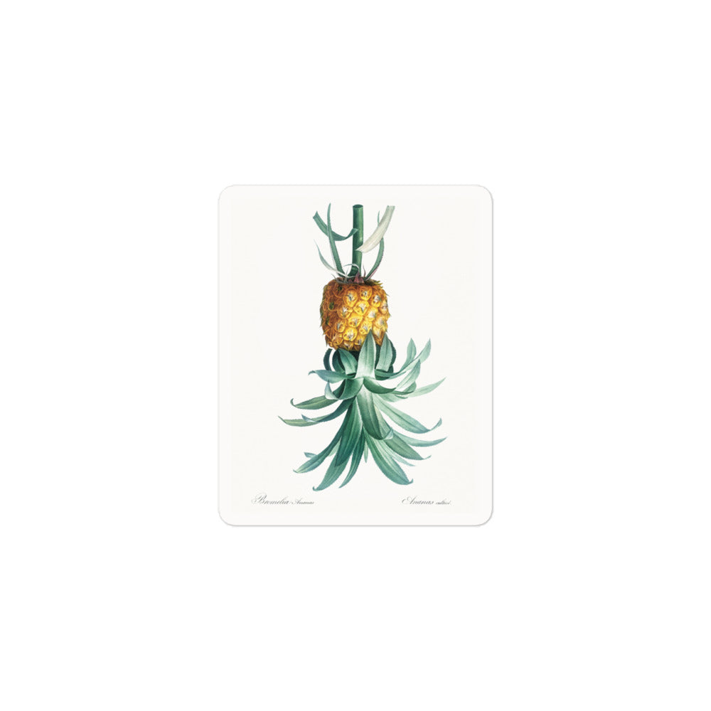 Vintage-inspired Reverse Pineapple sticker for a subtle open relationship symbol