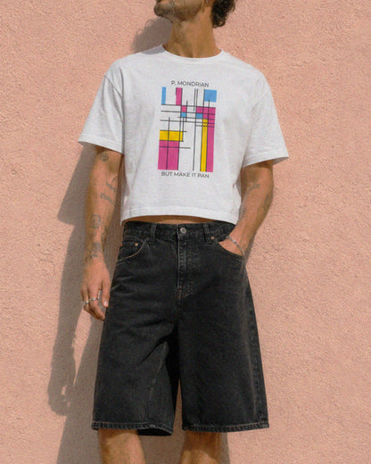 Pan Mondrian Crop Top - Queer Pride Abstract Color Block Design Tee