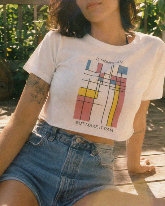 Pan Mondrian Crop Top - Queer Pride Abstract Color Block Design Tee