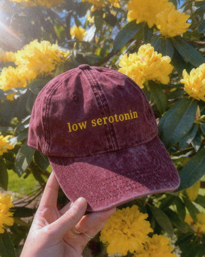 Low Serotonin Vintage Cap – Embroidered Cotton Hat for Neurodivergent Style