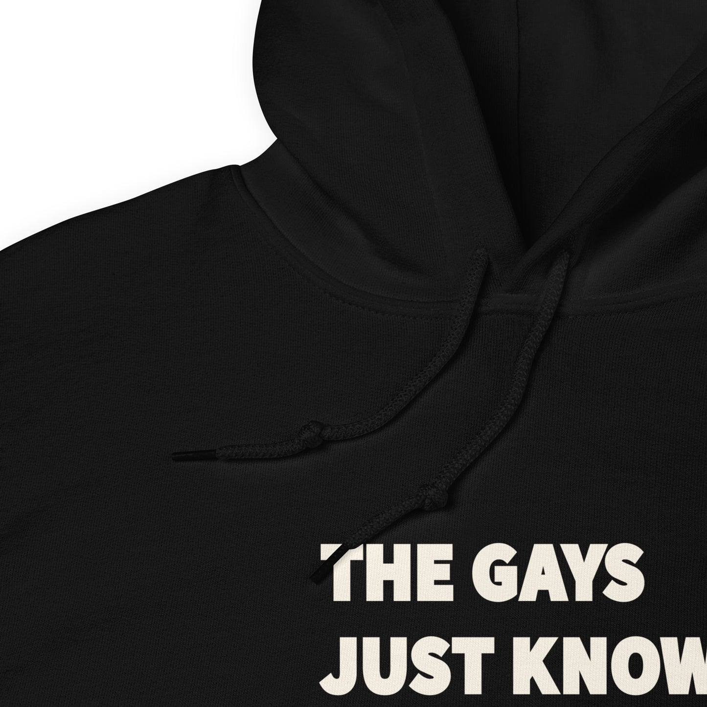 The Gays Just Know Unisex Hoodie – White Lotus Inspired Quote Sweatshirt