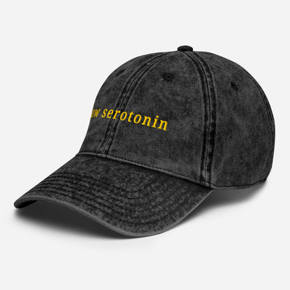 Low Serotonin Vintage Cap – Embroidered Cotton Hat for Neurodivergent Style