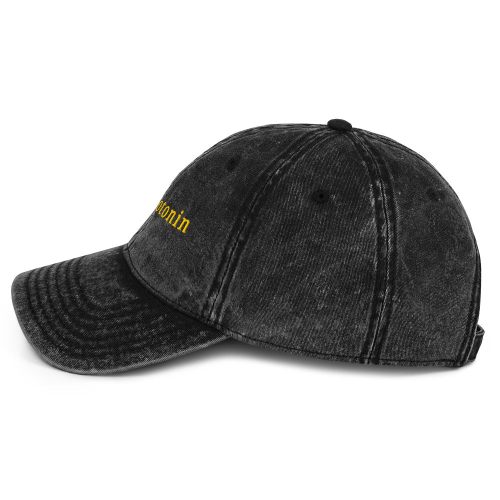 Low Serotonin Vintage Cap – Embroidered Cotton Hat for Neurodivergent Style