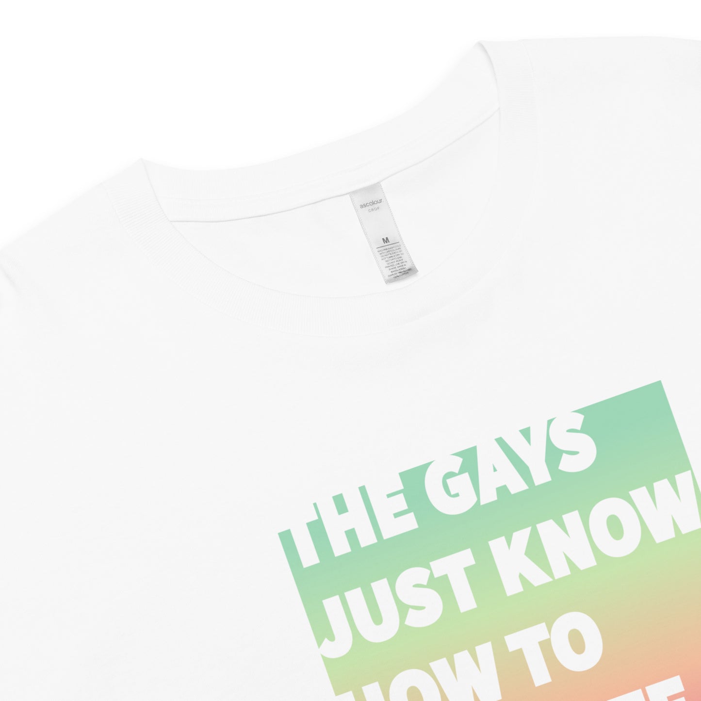 The Gays Just Know Crop Top – Pastel Rainbow Queer White Lotus Tee